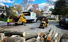 Morgantown, KY  Tree Services Company